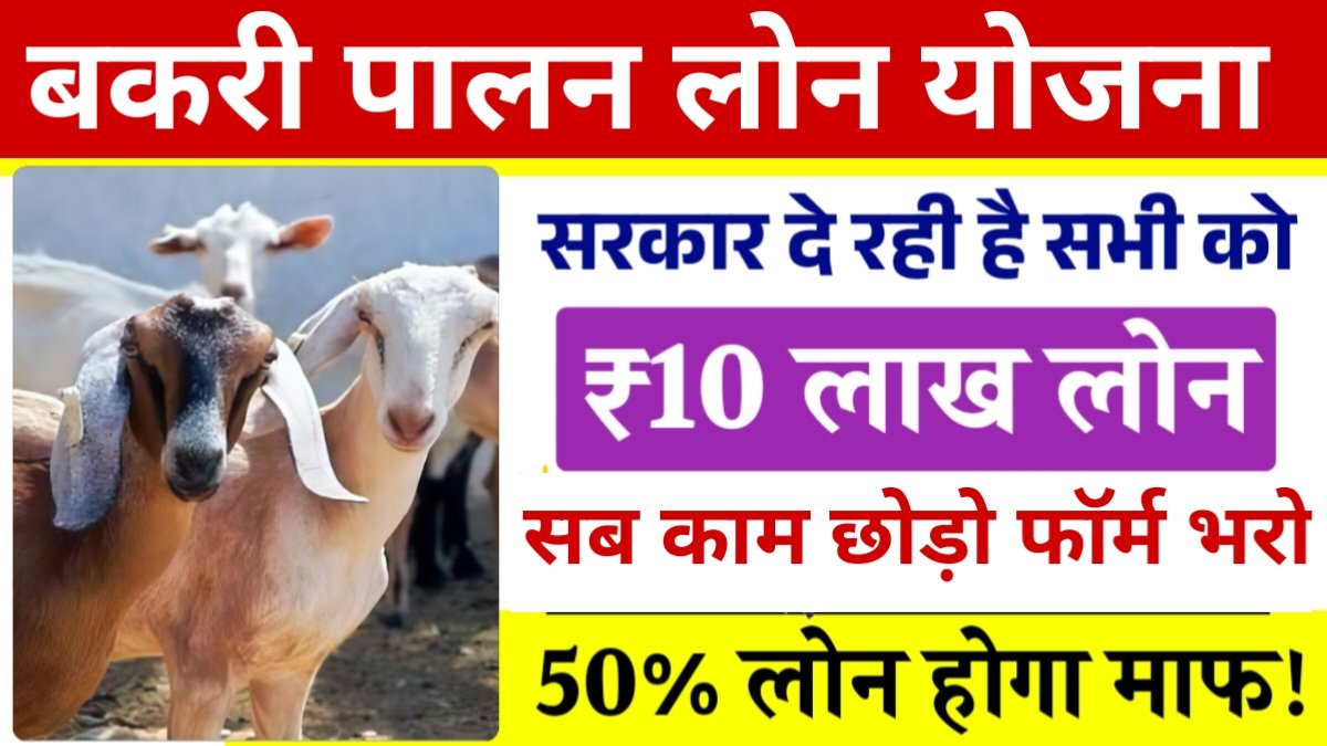 Bakri Palan Per Kitna Loan Milta Hai